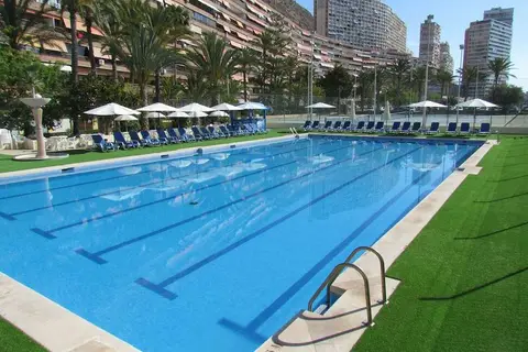 Albahia Alicante in Alicante