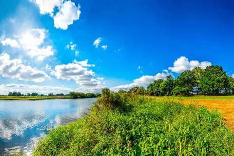 Landhotel Vosse-Schepers foto 16