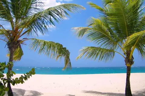 Viva Wyndham V Heavens in Puerto Plata — foto 23