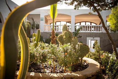 La Torre Ibiza foto 4