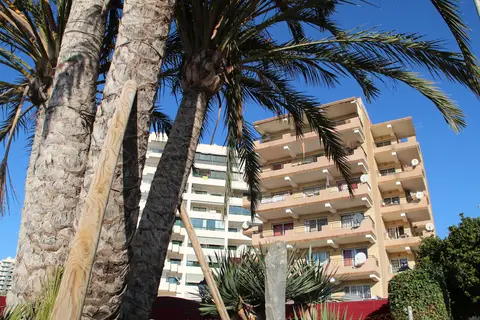 Apartamentos Odisea in Málaga — foto 9
