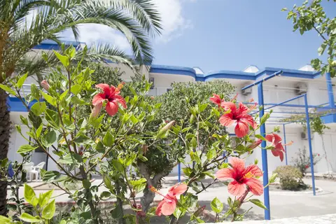 Maritsa Studios in Maritsa Studios, foto 26