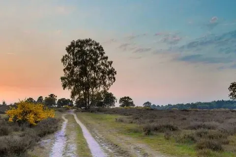 Hotel Landgoed Zonheuvel foto 26