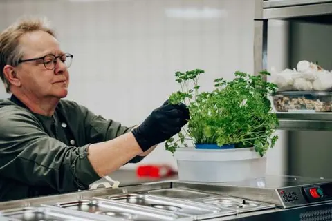 Boutique Hotel Het Witte Veen foto 24