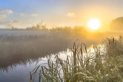 Bed and Breakfast Erve Groot Wegereef foto 15