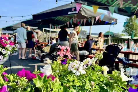 Camping De Molenhoek in Kamperland — foto 4