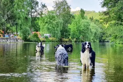 Vodatent Camping Vallee de L'Our in Parc Hosingen — foto 3