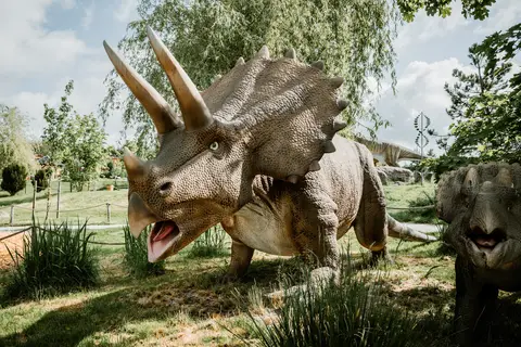 Ikuna Naturresort in Natternbach — foto 40