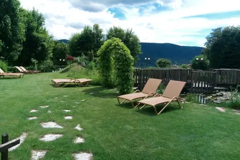 Alpen Eghel in Folgaria, foto 27
