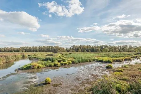 A-Hotel Oosterhout foto 11