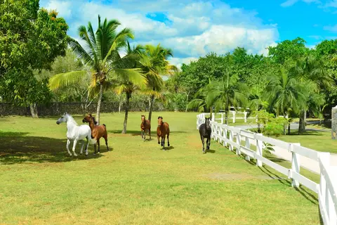 Maritim Resort & Spa Mauritius in Arsenal VCA — foto 10