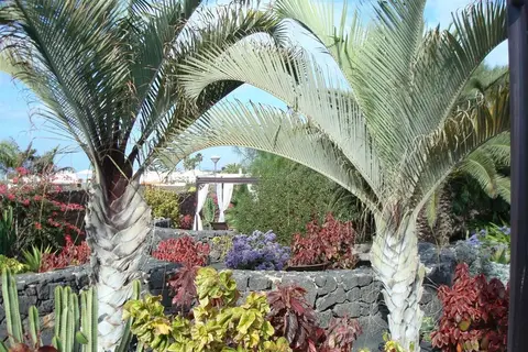 Hotel Villa VIK - Hotel Boutique in Arrecife — foto 19
