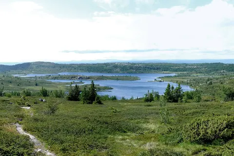 Fjorden, Gletsjers en Dalen foto 27