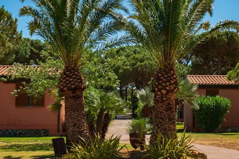 Camping Club Degli Amici foto 21