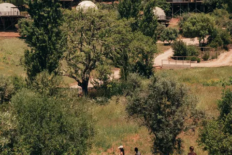 Wecamp Reserva Alecrim foto 32