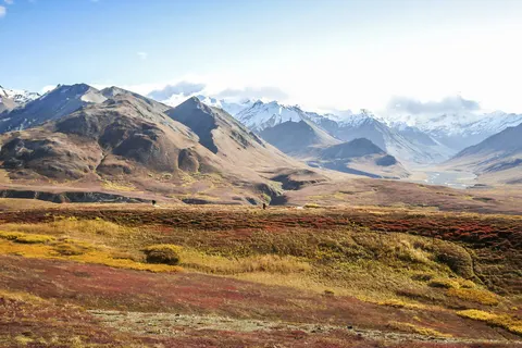 Explore the Wilderness of Alaska & Yukon foto 1