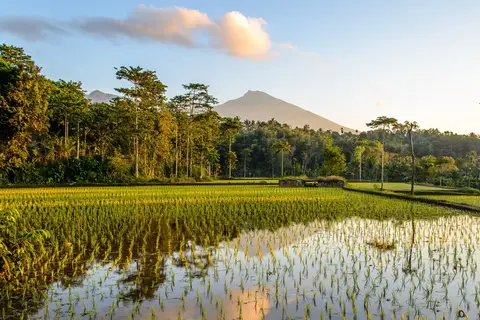 Ontdek Lombok in Surakarta — foto 6