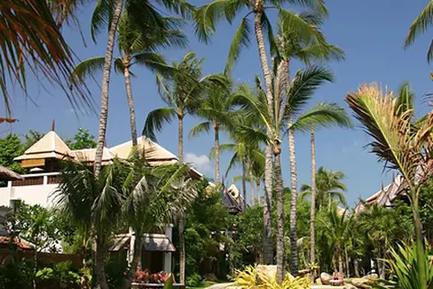 Muang Samui Spa Resort in บ้านบางรักษ์ — foto 3