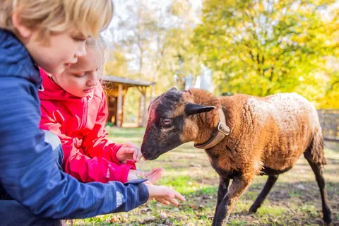 Camping Warsberg foto 12