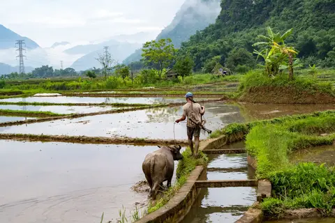 Traditioneel Vietnam in Vietnam — foto 9