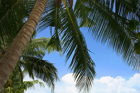 Bo Phut Resort & Spa in Ko Samui — foto 9