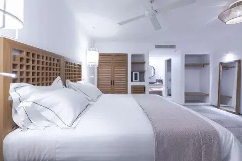 Alissachni Mykonos in Alissachni Mykonos, foto 6