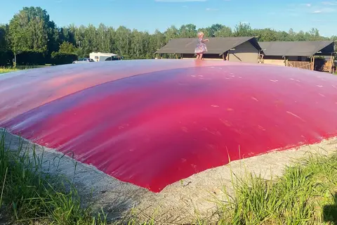 De Regenboog in Šluknov — foto 5