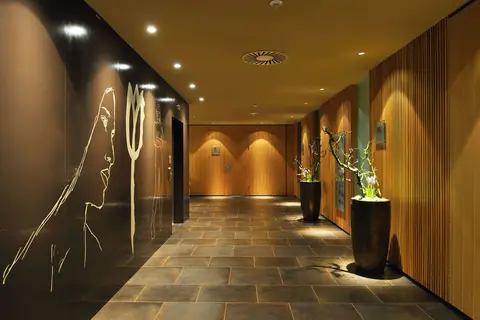 Hotel Balnea in Dolenjske Toplice — foto 24