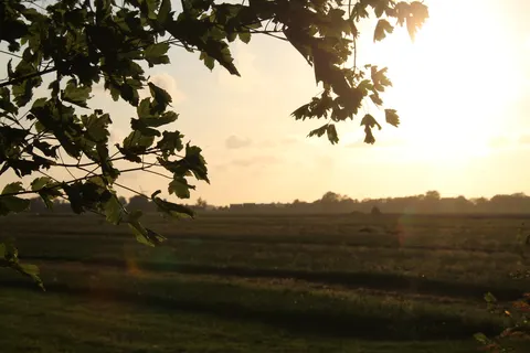 Camping De Uilenburg foto 11