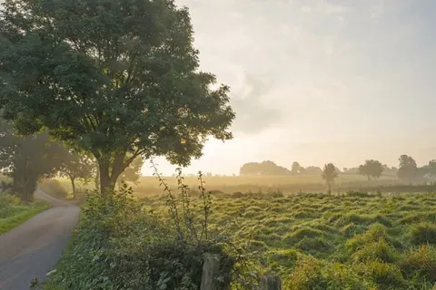 Hotel Schaepkens van St. Fijt foto 25