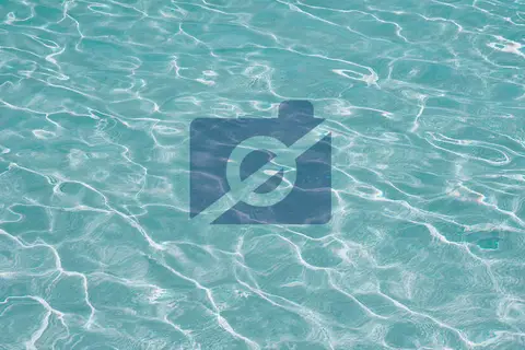 Flamingo Park in St Willibrordus — foto 9