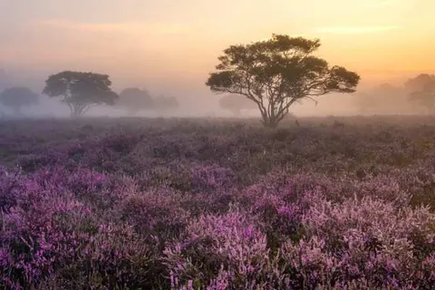 Hotel Wander foto 21