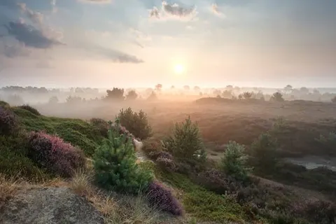 De Oringer Marke & Stee Hotels by Flow foto 25