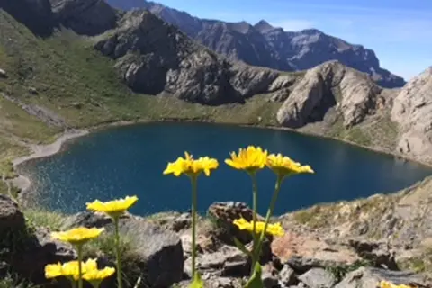 Airotel Pyrénées in Esquièze-Sère — foto 21