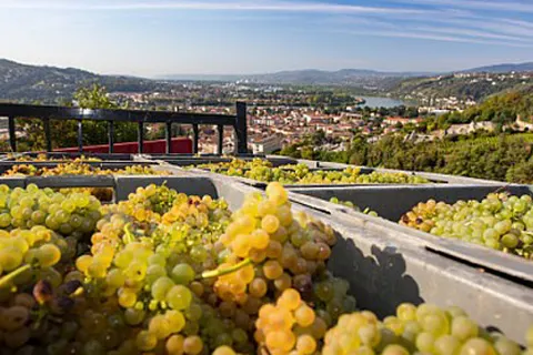 Camping Les Rives De Condrieu foto 18