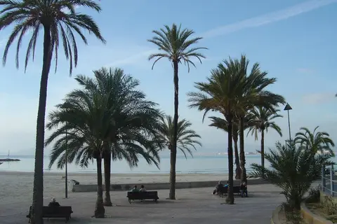 Hispania in Palma — foto 24