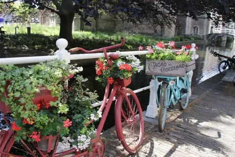 ibis Styles Delft City Centre foto 20