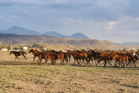 Winter Rondreis Cappadocië 4* in Rondreizen Turkije — foto 10