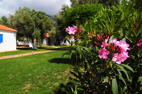 Appartementen White Rock foto 7