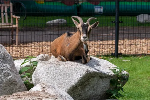 Hub Resorts Drentse Weelde foto 11