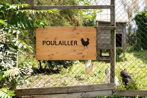 Camping La Côte Sauvage foto 24