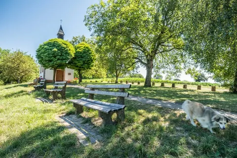 Hotel Markushof in Bad Bellingen — foto 11