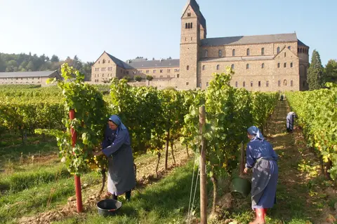 Hotel Felsenkeller in Rüdesheim am Rhein — foto 7