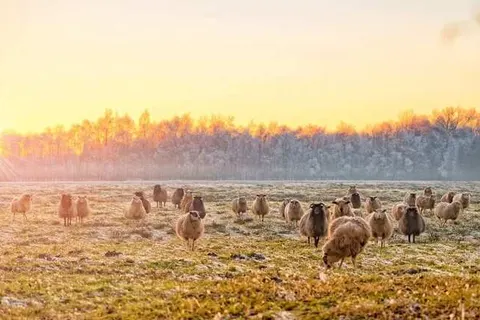 Bed and Breakfast Welgelegen foto 25