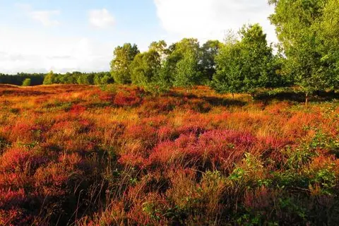 Hotel Wildeshauser Hof foto 18