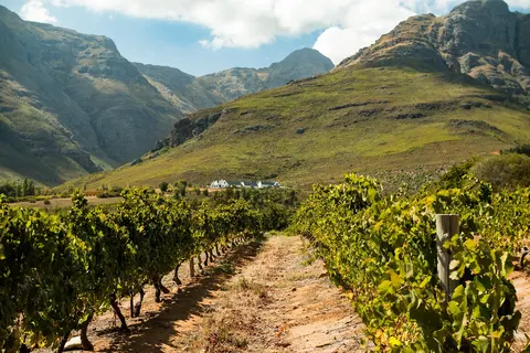 Het Beste van het Zuiden: Wijn- en Tuinroute in Pretoria — foto 5