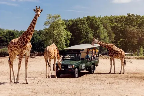 Safari Resort Beekse Bergen foto 7