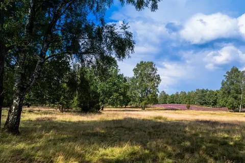 Eurostrand Resort Lüneburger Heide foto 2