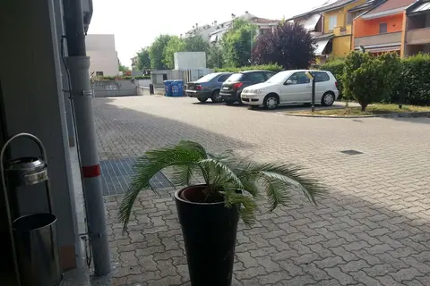 Ilga in Collecchio, foto 23