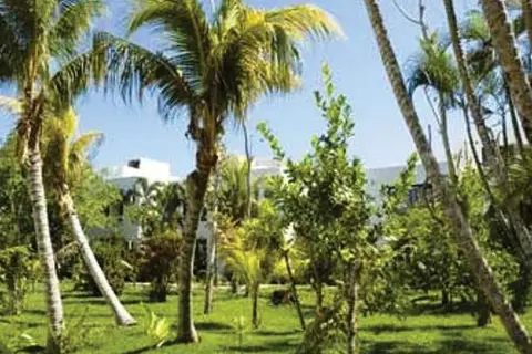 Sotavento Hotel & Yacht Club in Cancùn — foto 25